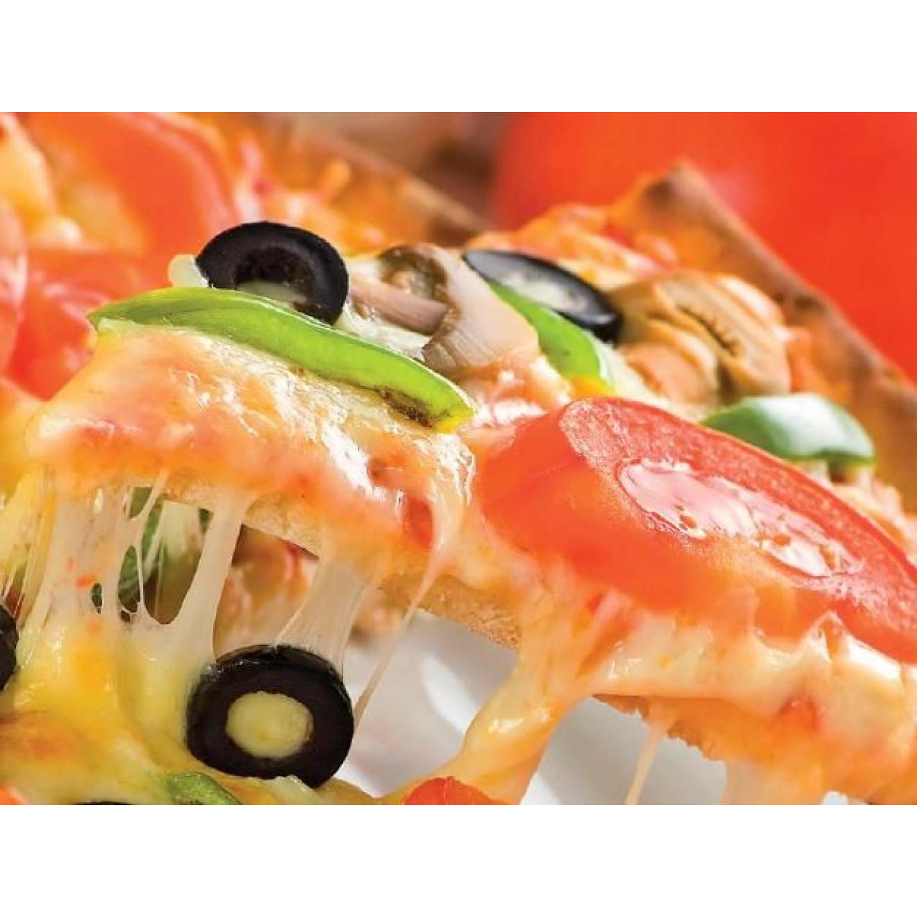 NATURCOOK refractory plate with recipes