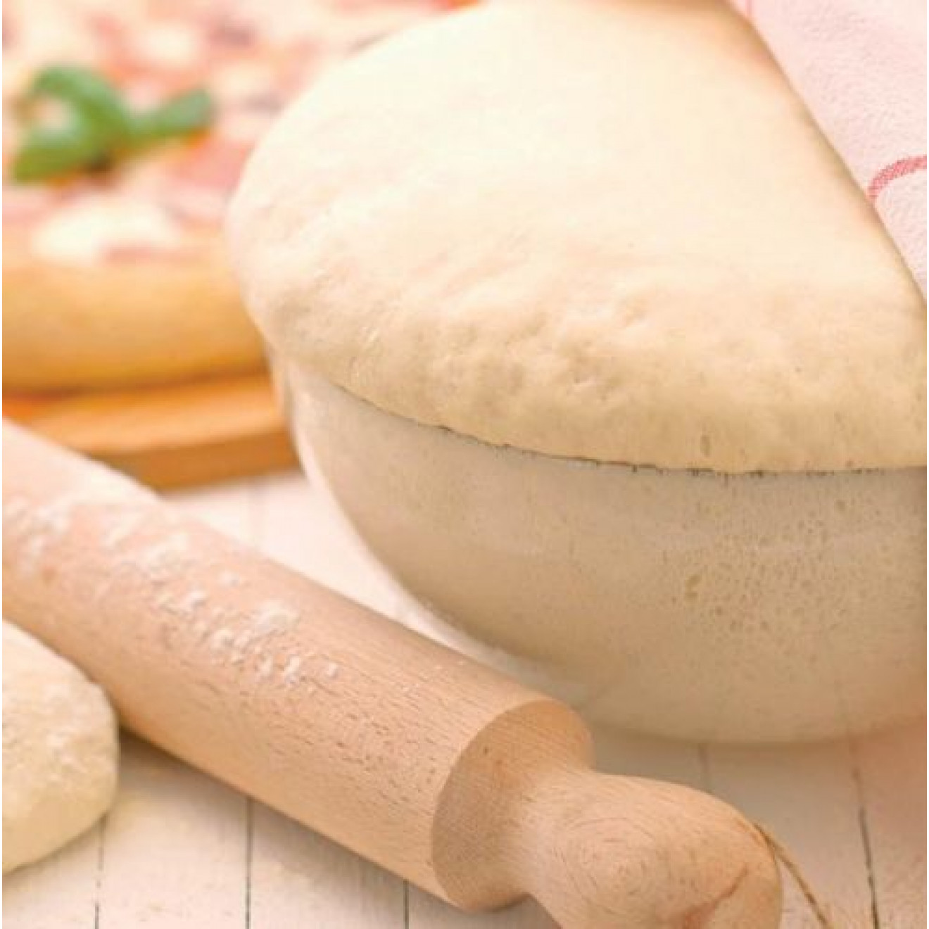 NATURCOOK refractory plate with recipes