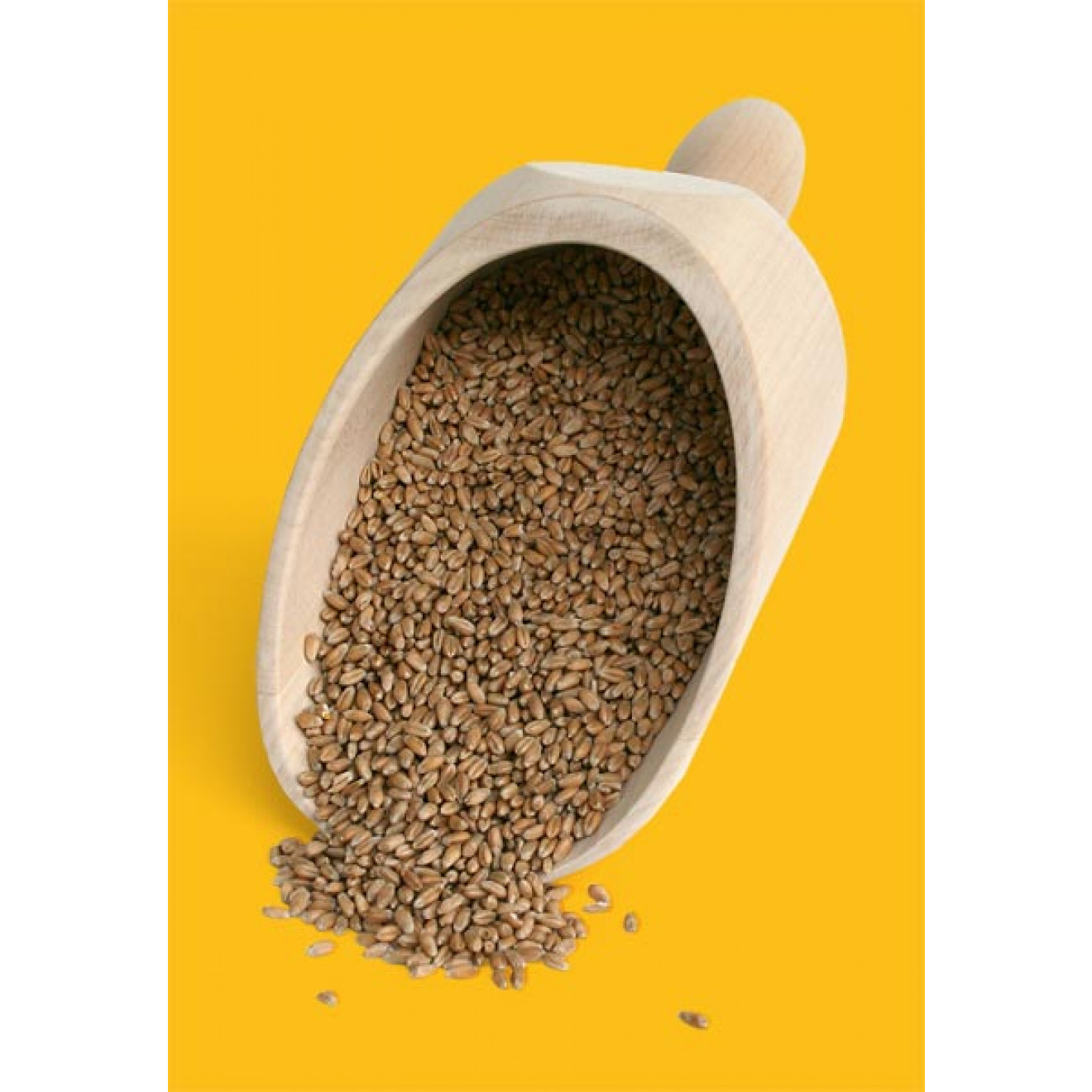 Wooden scoop 11.81Inches (30cm)