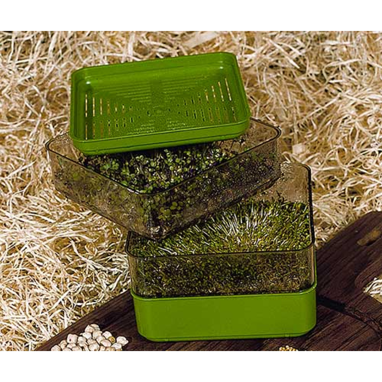 BergsBioSalad - a Danish quality sprouter