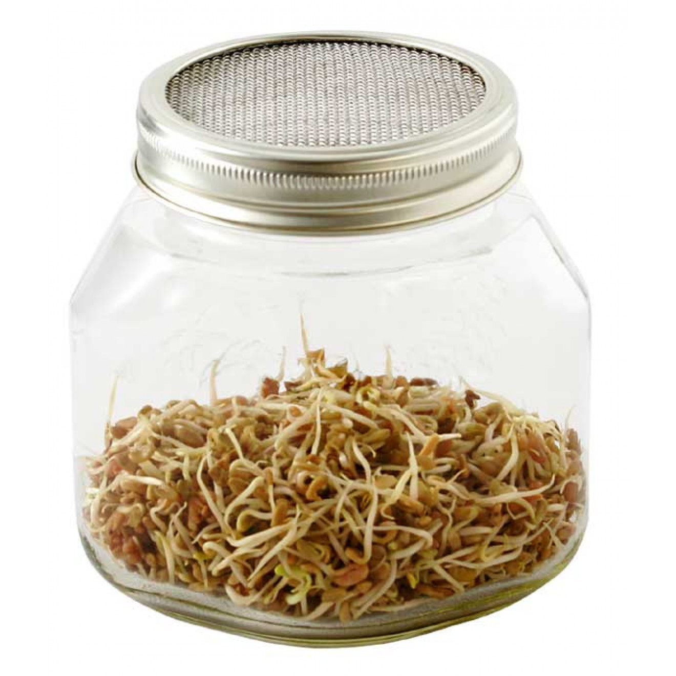 Eschenfelder Sprouting Jar 26.25oz (750ml)