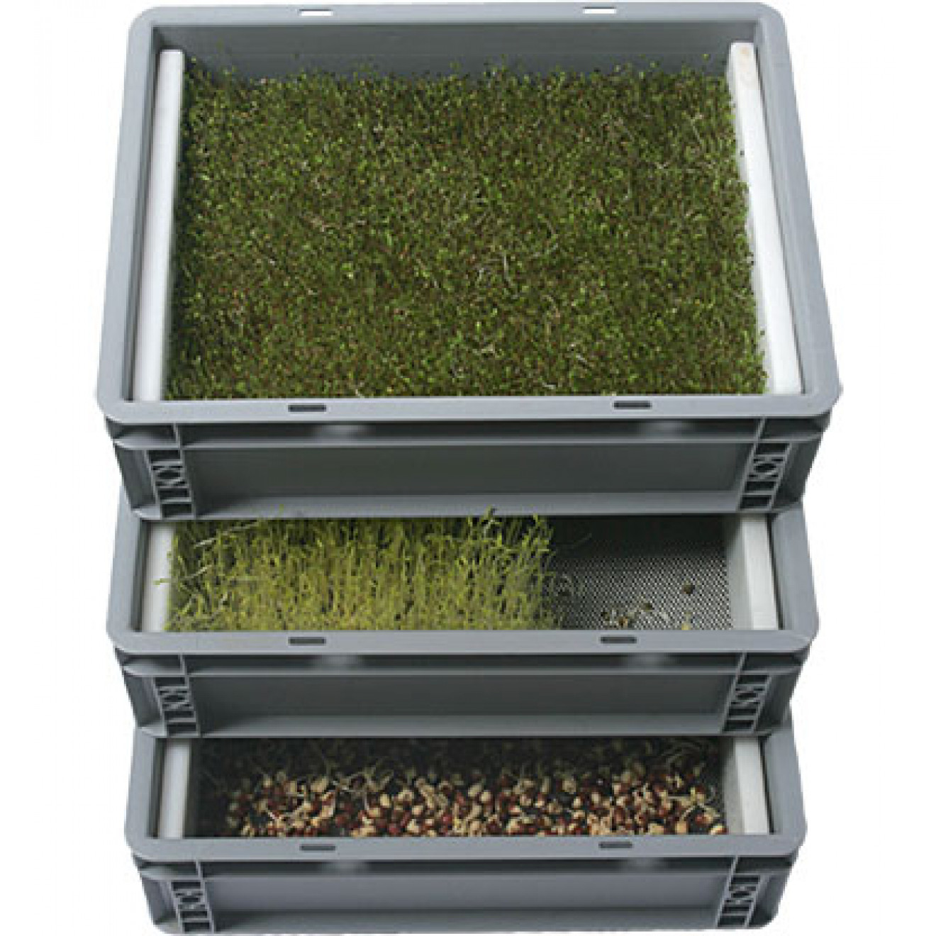 Small germinating box with sieve K