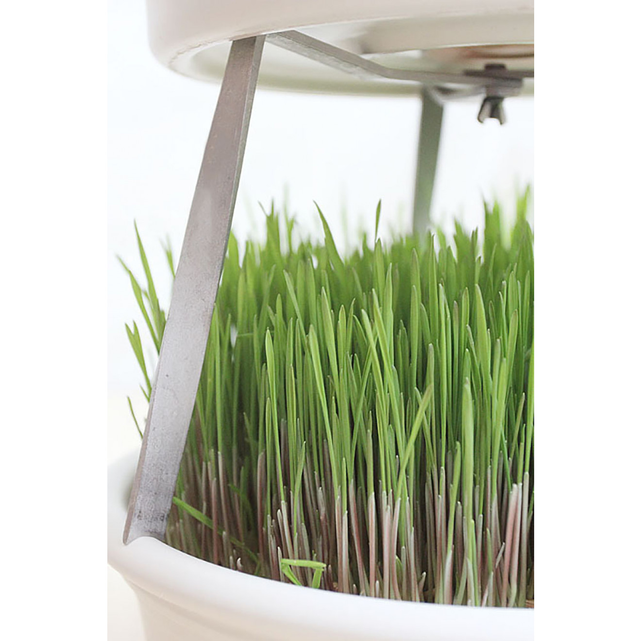 Stacking aid for Eschenfelder Wheatgrass Sieve