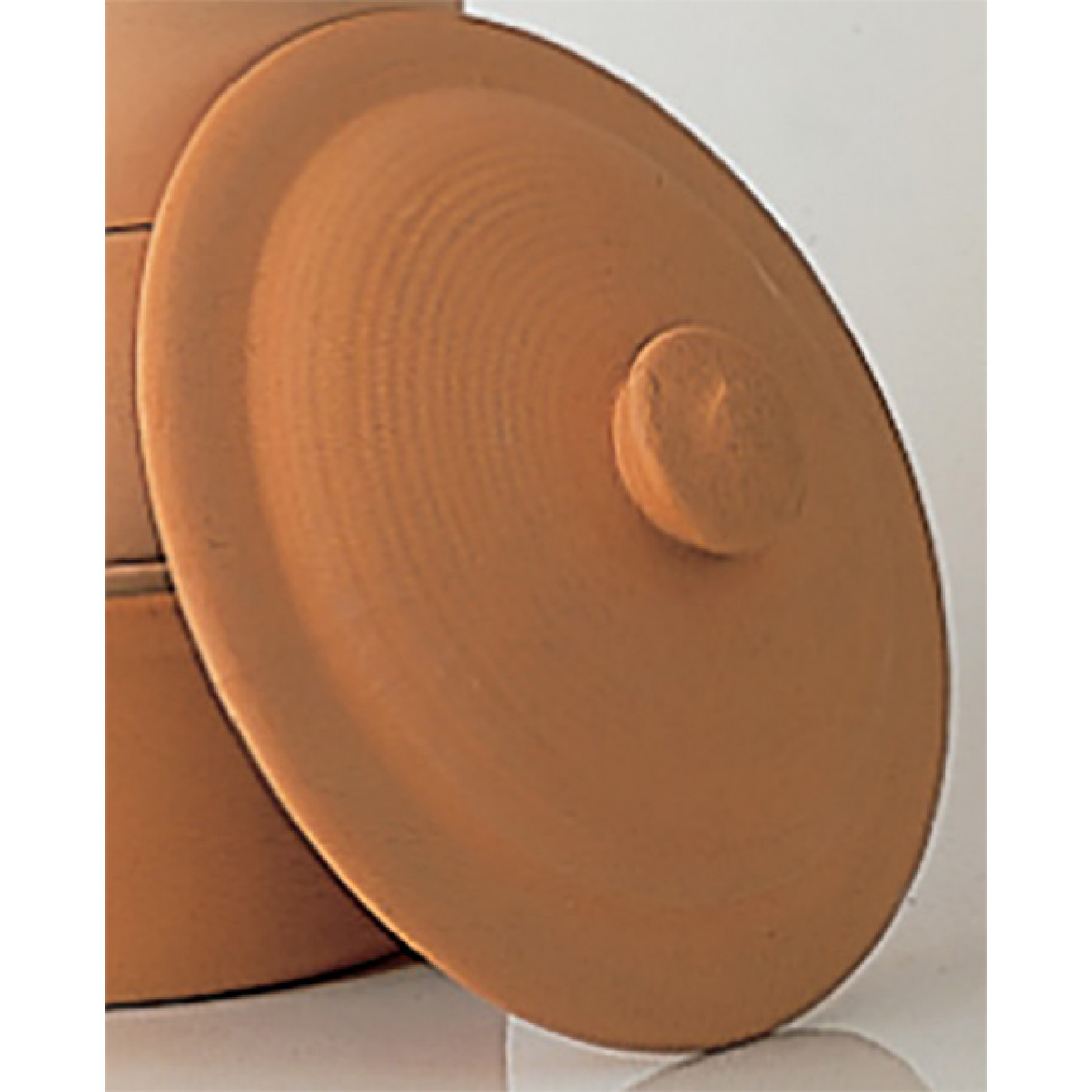Spare lid for hawos Clay terracotta sprouter pot incl. shipping costs