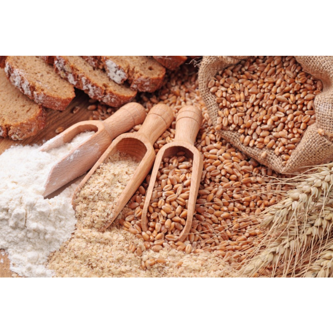 WHEAT BERRIES Hard Red Winter 25 Lbs