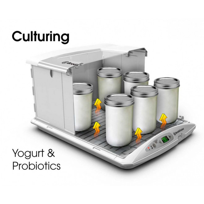 Folding Proofer & Slow Cooker