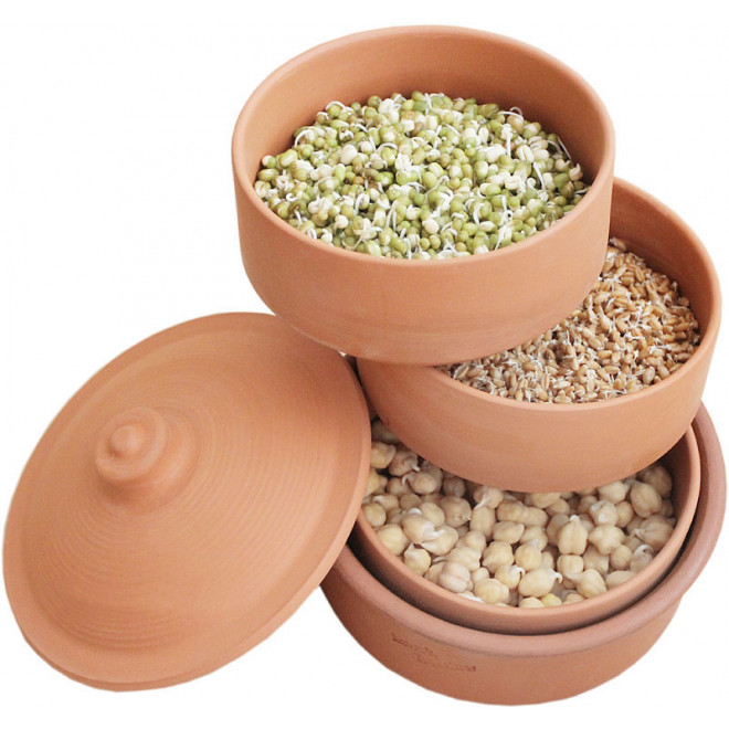 hawos Clay sprouting pot