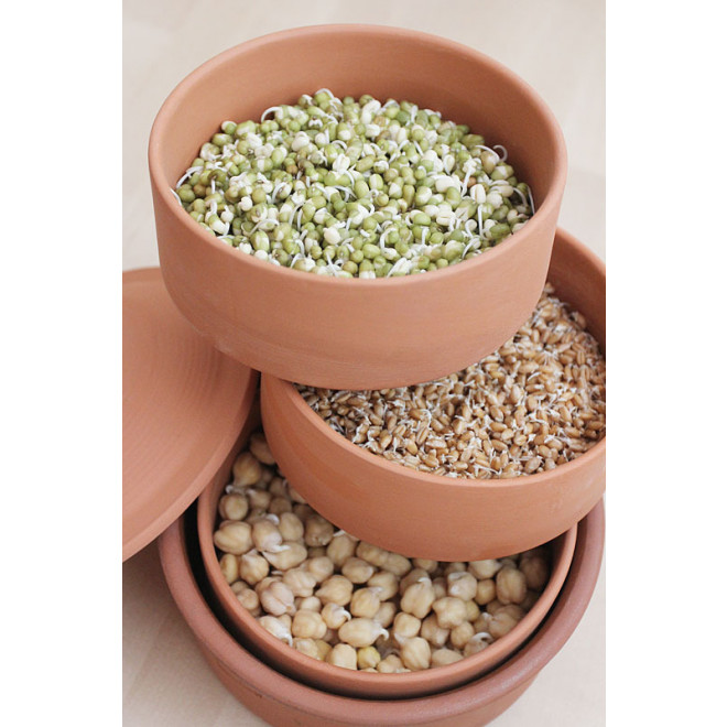 hawos Clay sprouting pot