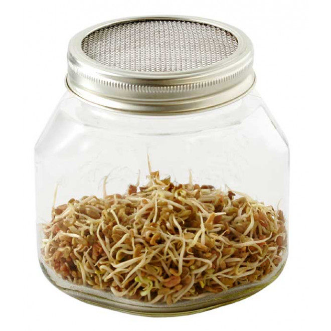 Eschenfelder Sprouting Jar 26.25oz (750ml)