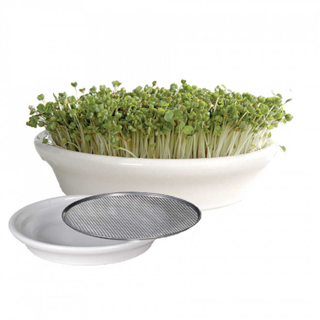 Eschenfelder Cress strainer 6.92inch (16cm) white