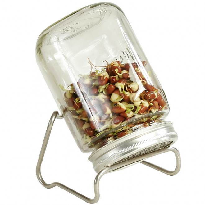 Eschenfelder Sprouting Set I, Jar 35oz (1000ml) + Rack