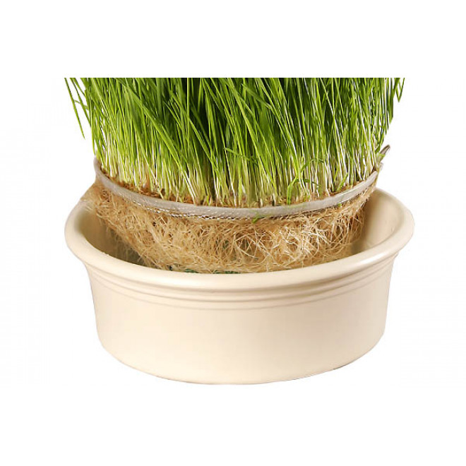 Eschenfelder Wheatgrass Sieve 9 inches (23cm)