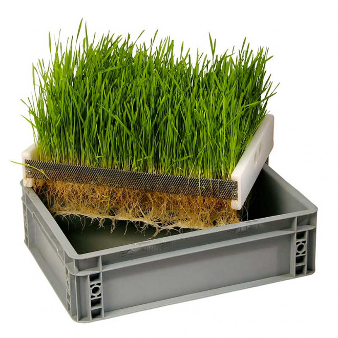 Large germinating box with sieve G