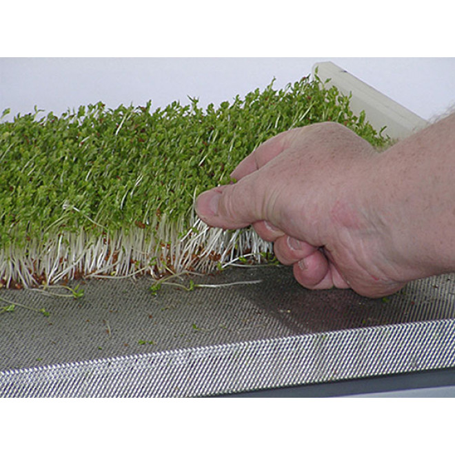 Small germinating box with sieve K