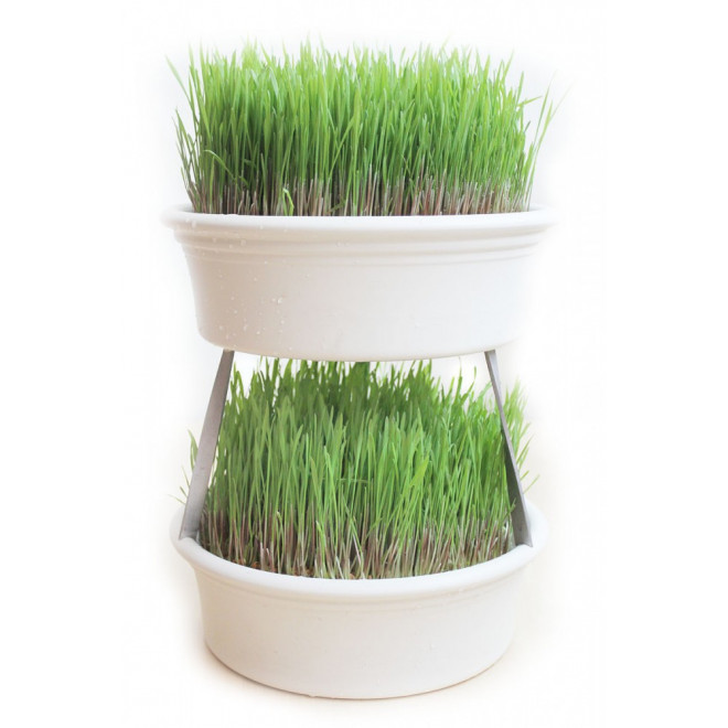 Stacking aid for Eschenfelder Wheatgrass Sieve