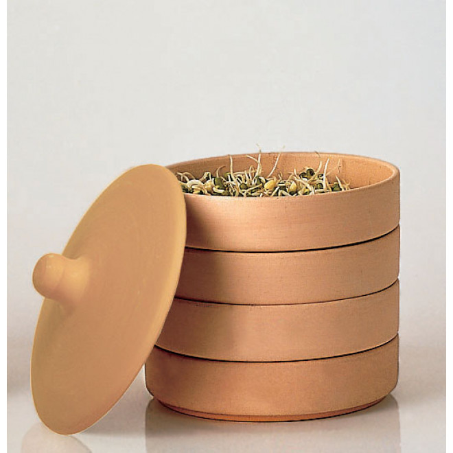 hawos Toni terracotta Sprouter