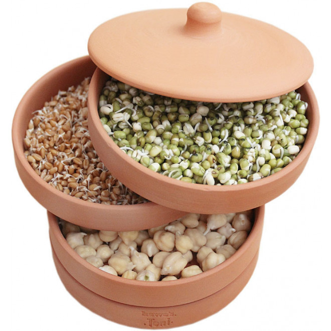 hawos Toni terracotta Sprouter