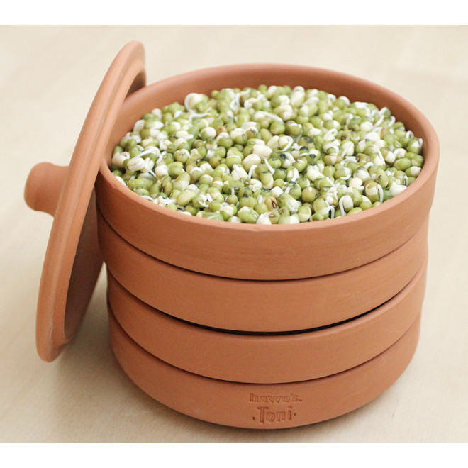 hawos Toni terracotta Sprouter