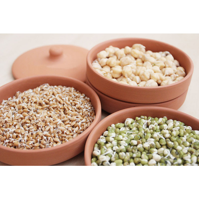 hawos Toni terracotta Sprouter