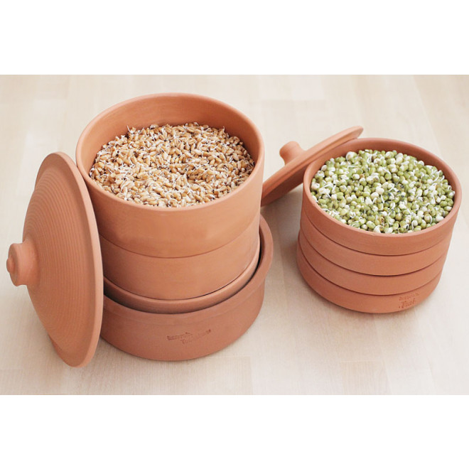 hawos Toni terracotta Sprouter