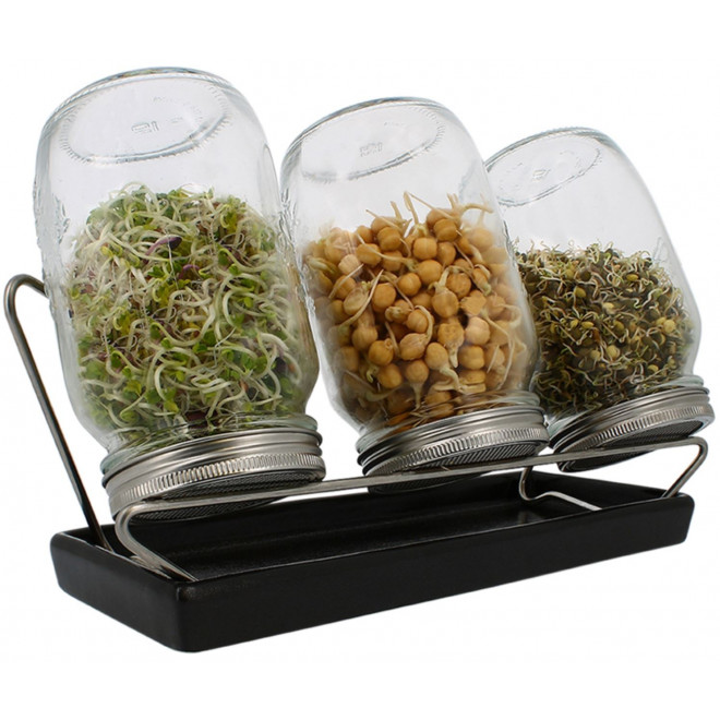 System III Eschenfelder Sprouting Set 3-Jar 35oz (1000ml) + Rack + ceramic drip tray anthracite