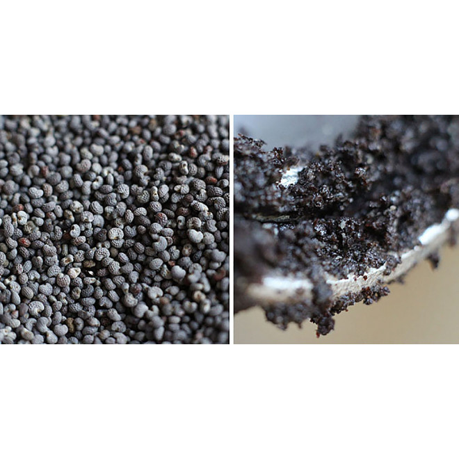 Manual Poppy Seed Mill Spice Grinder painted Beige