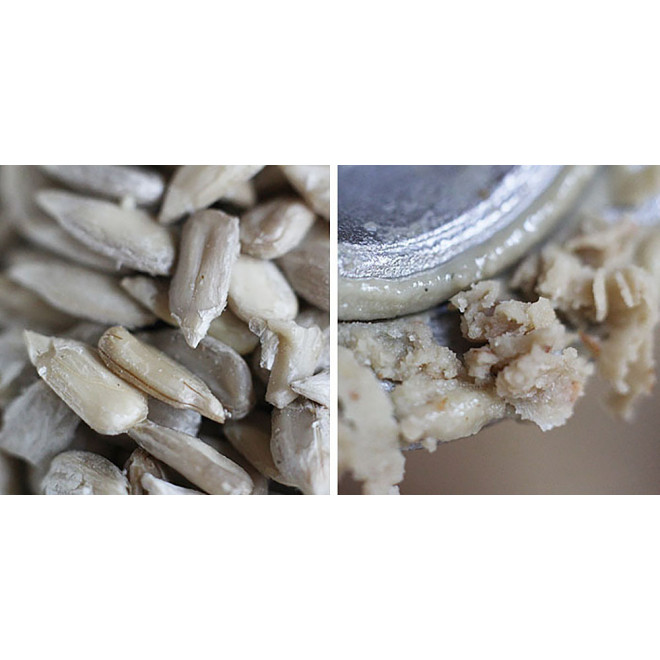 Manual Poppy Seed Mill Spice Grinder painted Beige