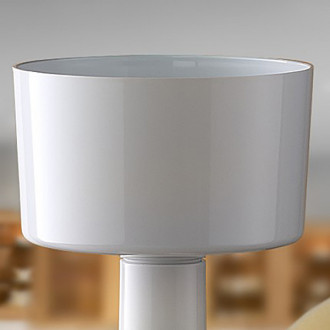 Funnel for Grain Mill incl. shipping costs