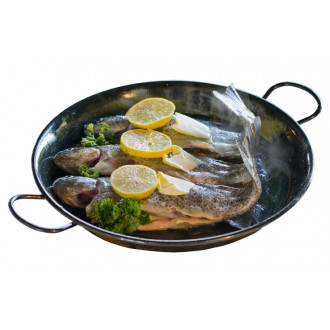 Frying pan, enameled steel