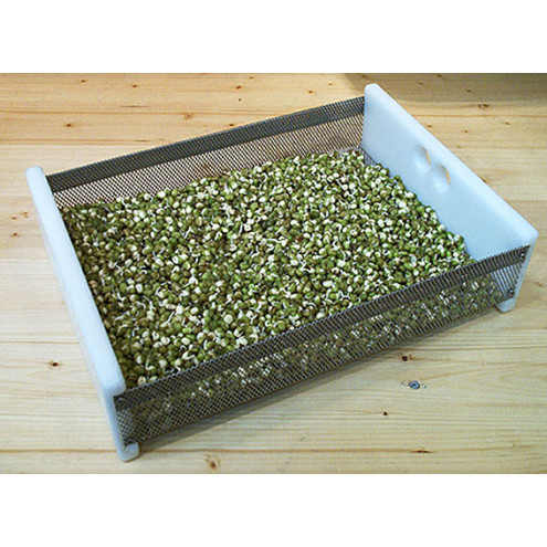Small germination box with sieve S