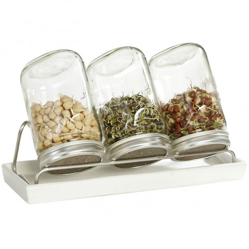 System III Eschenfelder Sprouting Set 3-Jar 35oz (1000ml) + Rack + ceramic drip tray white