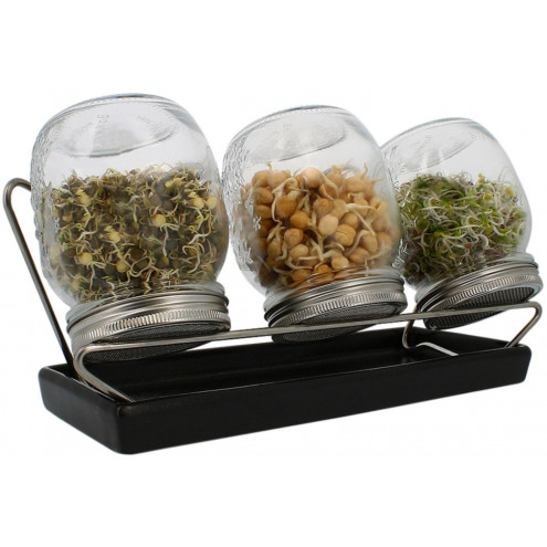 System III Eschenfelder Sprouting Set 3-Jar 26.25oz (750ml) + Rack + ceramic drip tray anthracite